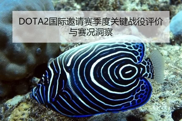 DOTA2国际邀请赛季度关键战役评价与赛况洞察